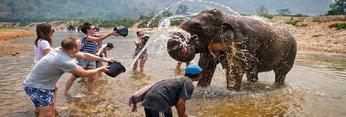 Elephant Camps & Trekking in Hua Hin Elephant Camps & Trekking in Hua Hin